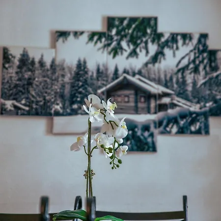 Le Cosy Apartment Gérardmer