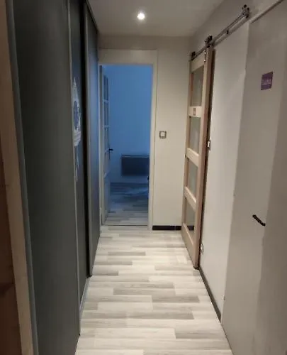 Apartment Le Cosy Gérardmer